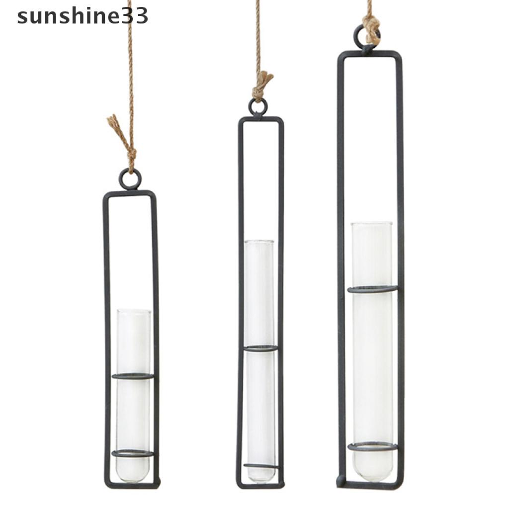 Bình Hoa Thủy Tinh Trong Suốt Treo Tường Bằng Sắt