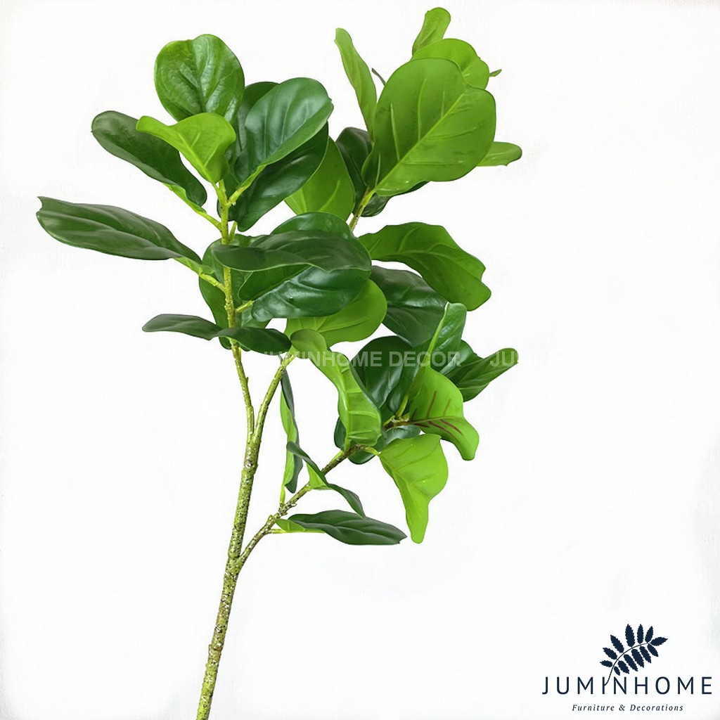 Cành bàng Singapore - Cây hoa giả Decor trang trí nhà cửa nội thất phòng khách, phòng ngủ