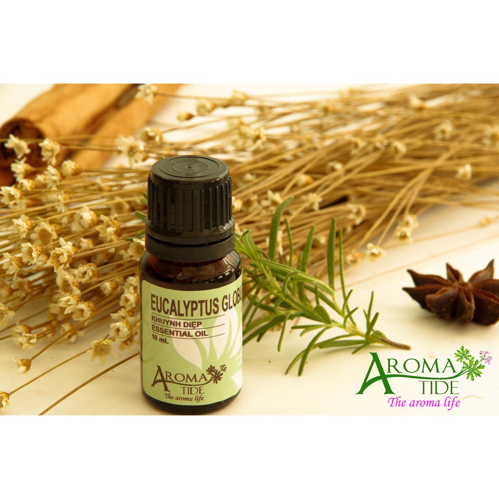 TINH DẦU KHUYNH DIỆP- EUCALYPTUS GLOBULUS ESSENTIAL OIL