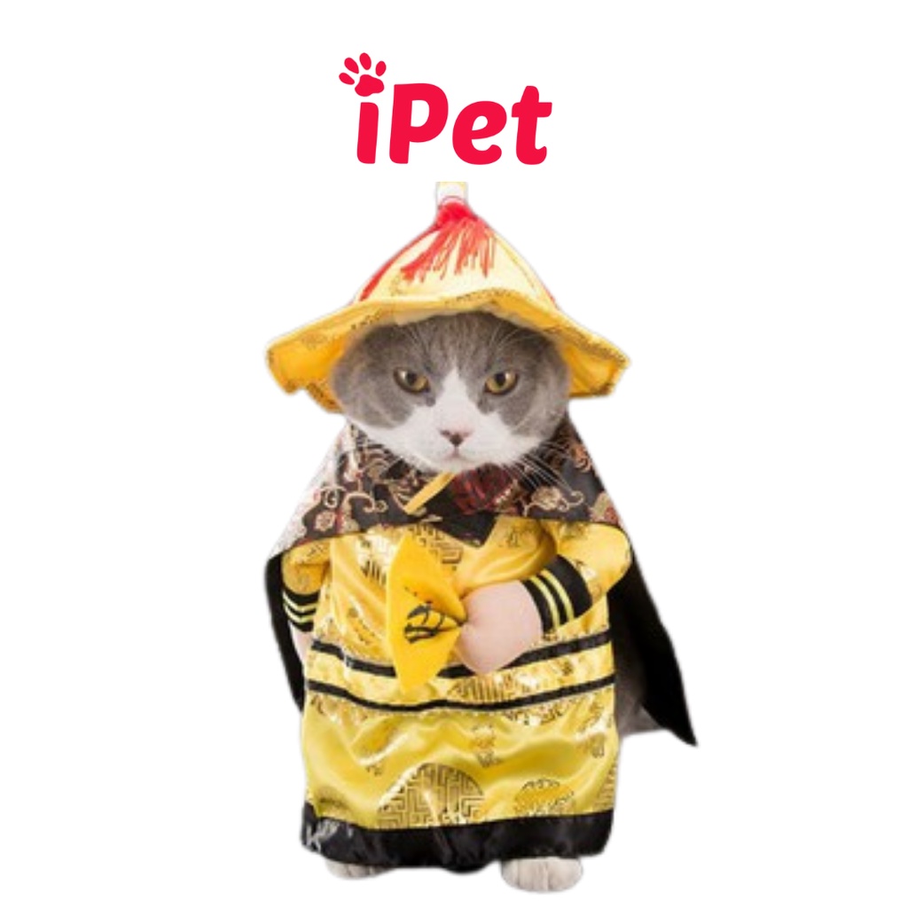 Bộ Đồ Quần Áo Đáng Yêu Cho Mèo Dưới 3kg - iPet Shop
