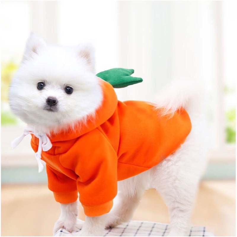 ÁO NỈ MỎNG TRÁI CÂY RAU CỦ QUẢ DỄ THƯƠNG NGỘ NGHĨNH CHO THÚ CƯNG