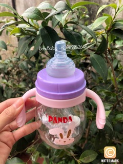 Bình sữa 2in1 Panda - Made in Japan