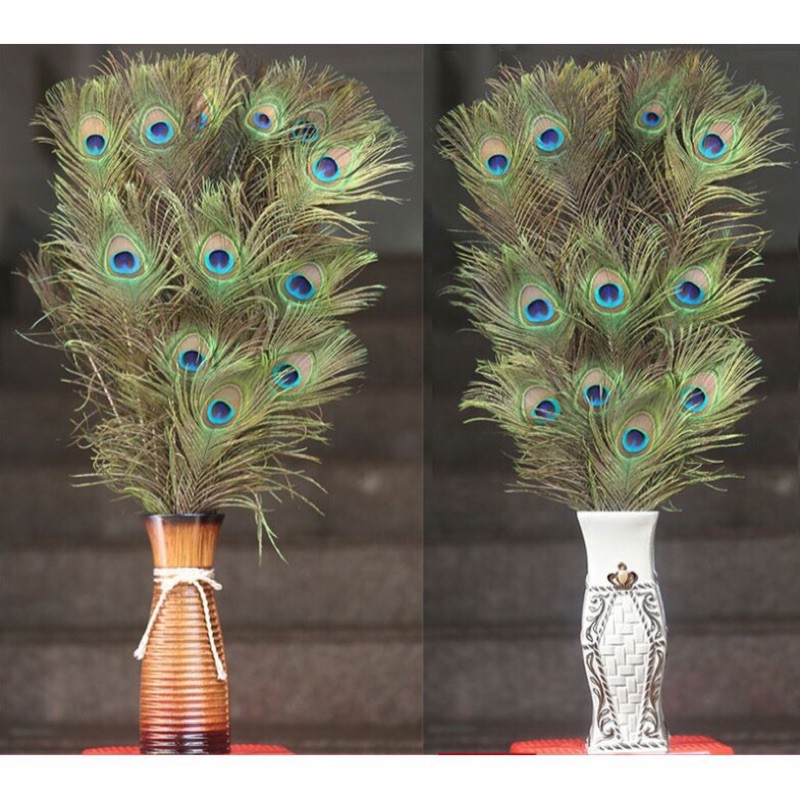 Lông công loại ĐẸP tự nhiên 100% dài từ 25-100cm - bán từ 10c | BigBuy360 - bigbuy360.vn