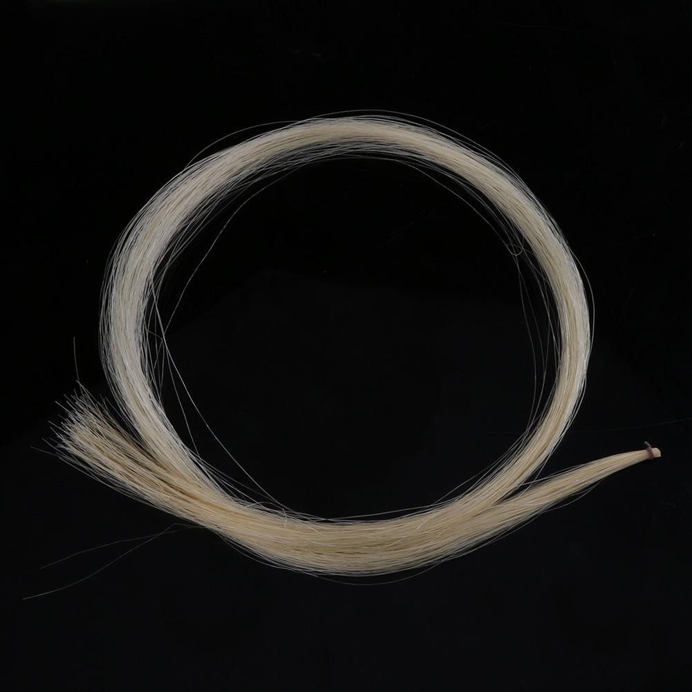 Sợi lông ngựa đực dùng làm dây cung đàn violin