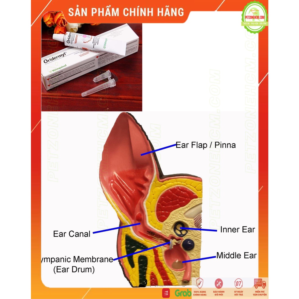 Oridermyl 10g Pháp ngăn viêm tai cho chó mèo ⚜ FREESHIP ⚜ Tuýp bôi viêm tai ngoài - tai giữa - nấm - ký sinh trùng