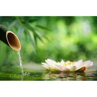 Tranh dán tường 3d Spa - vải lụa phủ kim sa