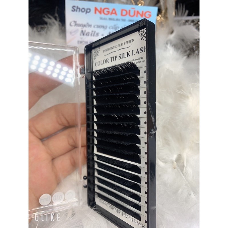 Mi color tip silk lash dày 0,10
