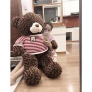 Hoahhp- gấu teddy khổ 1m2 cao 1m hàng vnxk cao cấp