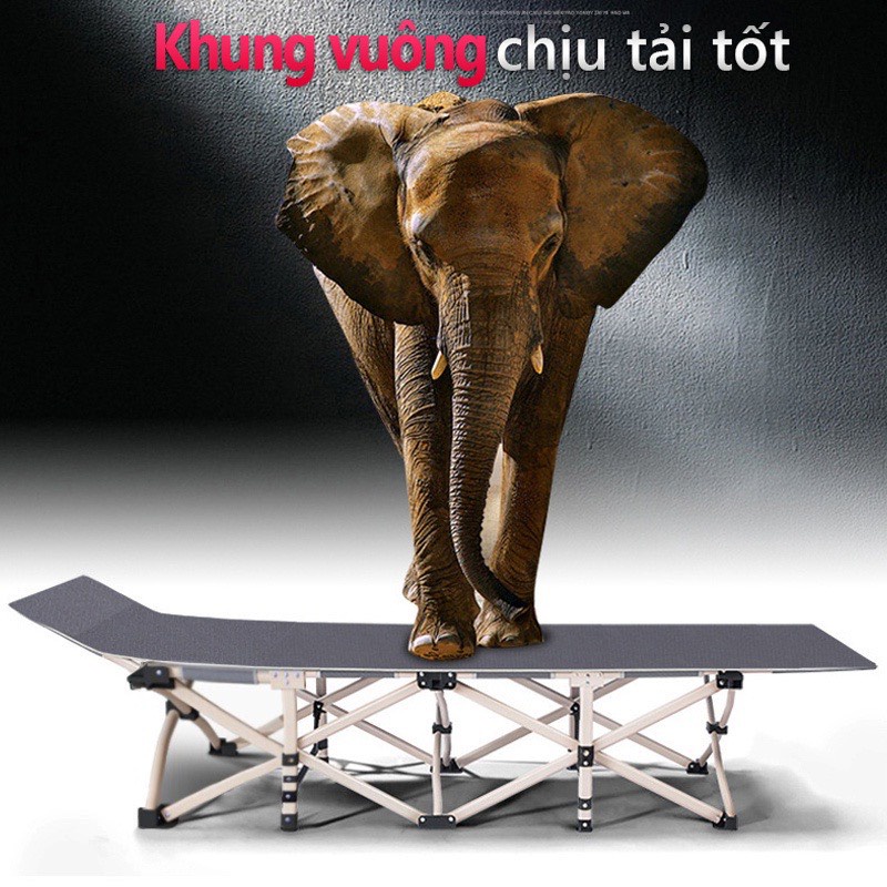 Giường xếp văn phòng giường du lịch dã ngoại nghỉ ngơi ngủ trưa gấp gọn 67x190cm, khung thép chắc chắn