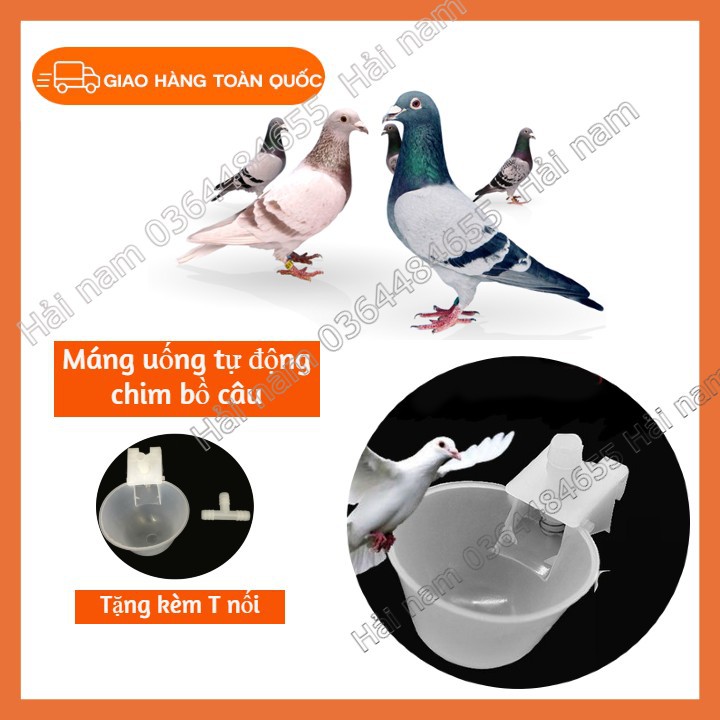 Máng Uống Nước Tự Động Cho Chim Bồ Câu