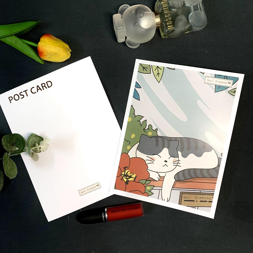 Bộ Post Card, Thiệp, Ảnh Trang Trí...Mẫu Mèo Nhật Bản