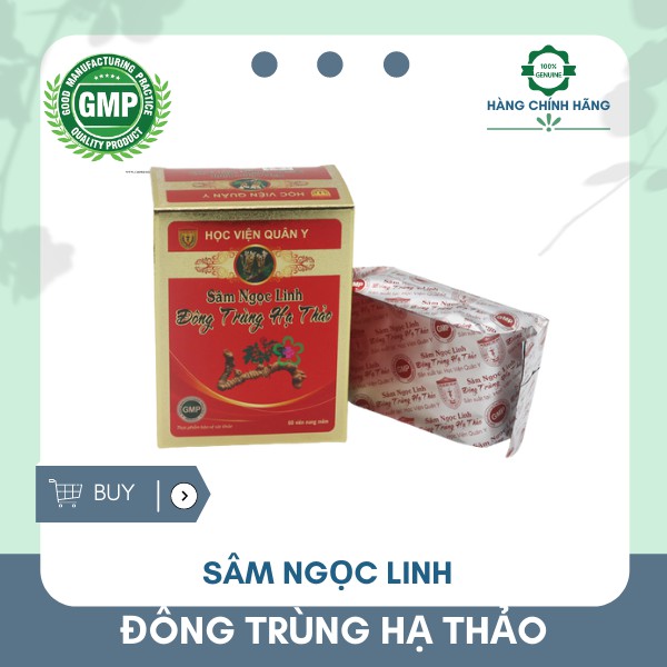 Sâm ngọc linh đông trùng hạ thảo Học viện quân y