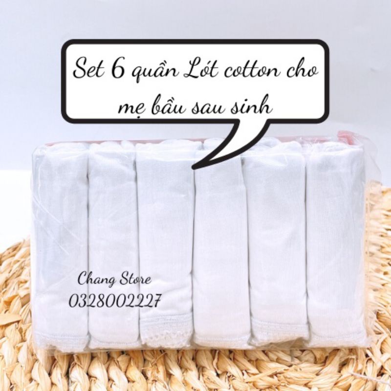 Quần lót cotton naris mặc sau sinh