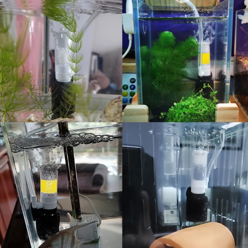 Máy Bơm Oxy Mini Cho Bể Cá