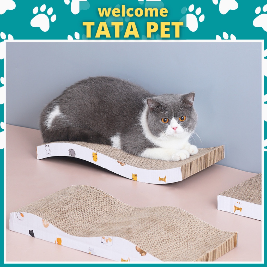Bàn Cào Móng Cho Mèo Có Catnip Hình Chuột THẢM CÀO MÓNG SÓNG 2 MẶT (CM19.2) TATA PET