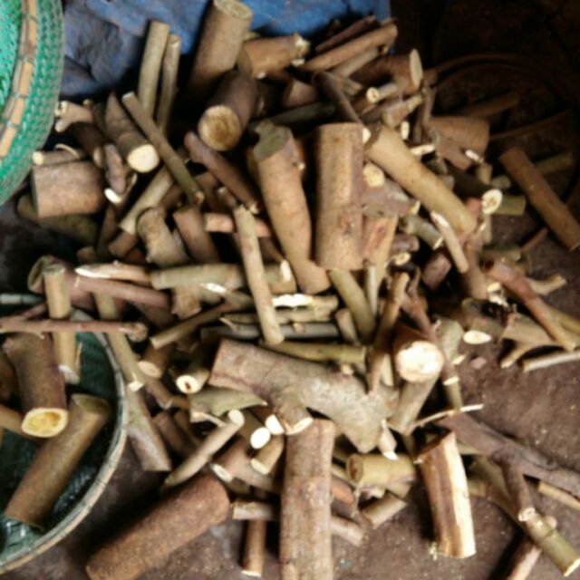 Gỗ và hạt dau xịn