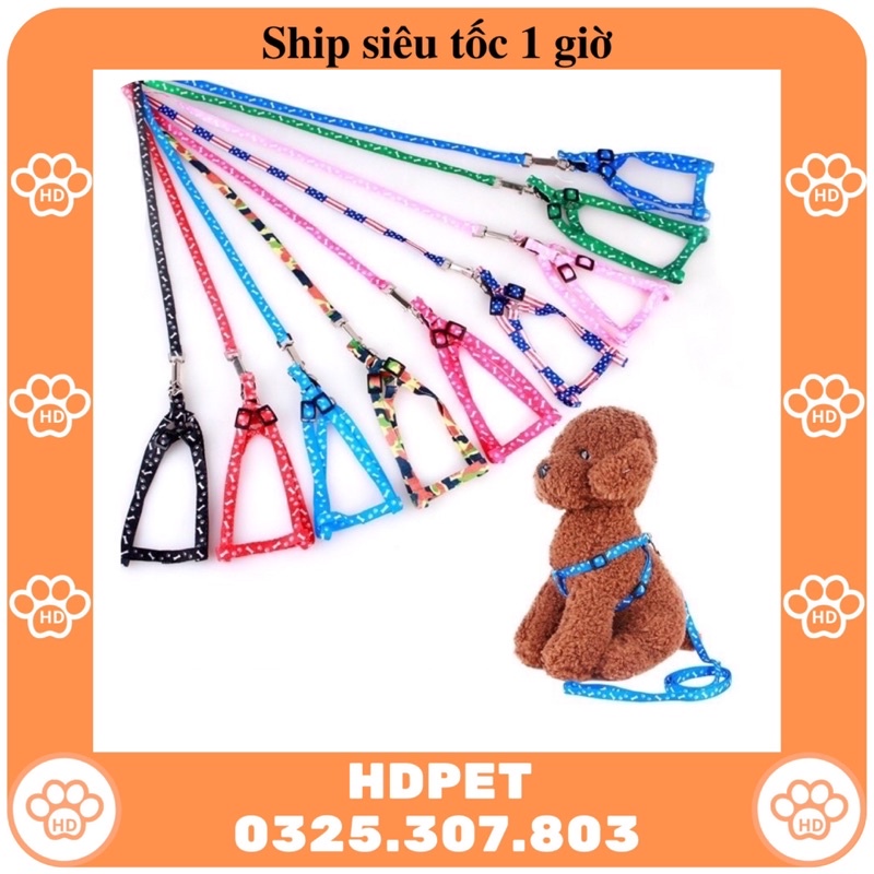 Dây dắt chó mèo đi dạo HDPET giá rẻ giao màu ngẫu nhiên