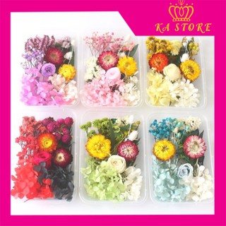 Hoa Khô Thật Cài Tóc Cô Dâu, Hoa Khô Trang Trí, Hoa Khô Makeup Tạo Kiểu Quyến Rũ