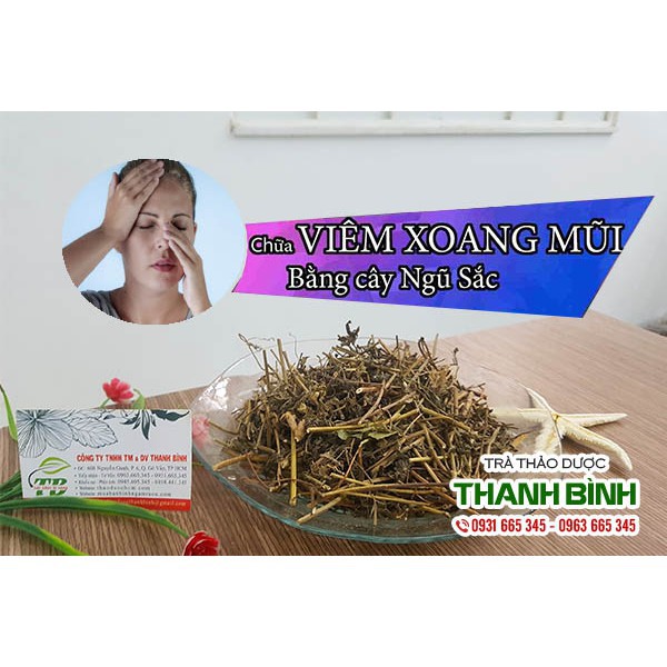Cây Cứt Lợn  Khô 1kg - Thảo Dược Thanh Bình