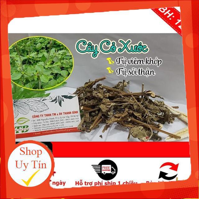 Cây cỏ xước 500gr - Ngưu tất nam  - Thảo Dược Thanh Bình