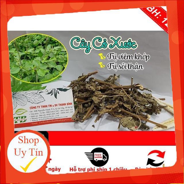 Cây cỏ xước 500gr - Ngưu tất nam (Tươi - khô) - Thảo Dược Thanh Bình