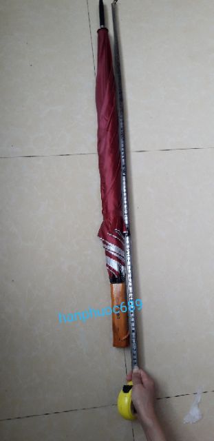 Sỉ Ô dù nan kép to đại ( 2 xương)