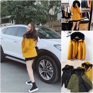Combo 208 hải anh
