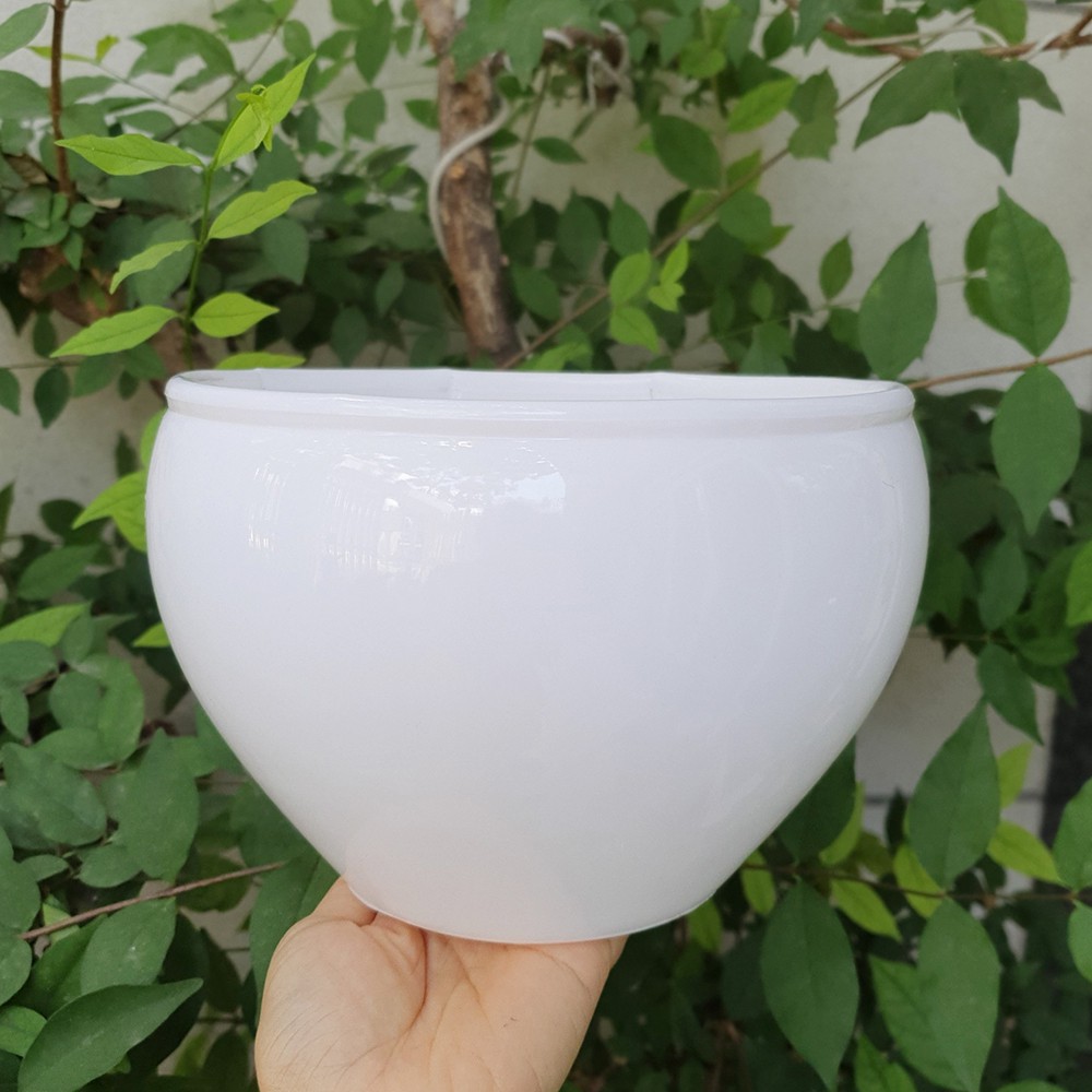 Bộ 2 chậu hoa lan bầu màu trắng 20x14cm