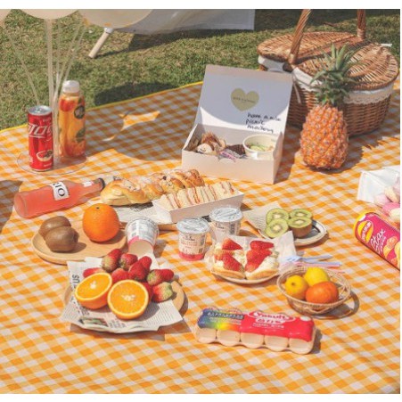 THẢM PICNIC CHỐNG NƯỚC PHỤ KIỆN DÃ NGOẠI - CHỐNG THẤM GẤP GỌN TIỆN LỢI