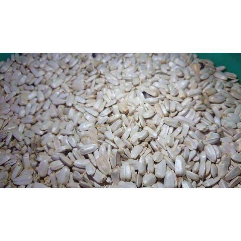 Hướng dương trắng Ai Cập túi 500g - 1kg