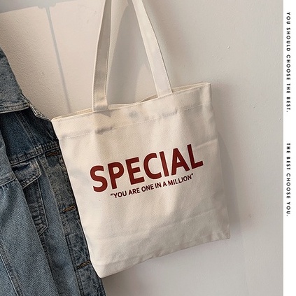 Túi tote canvas, túi vải giá rẻ đeo vai có khóa miệng size vừa A4 đi chơi hàn quốc PK 317