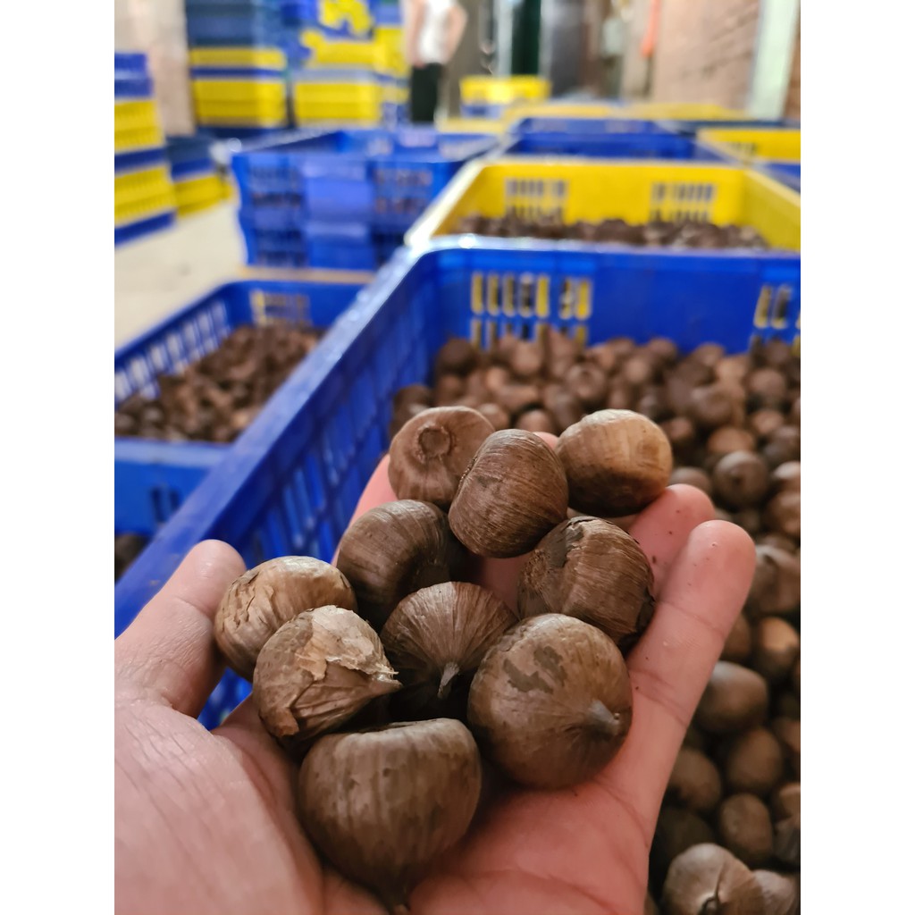 [500g] Tỏi đen cô đơn LOẠI 2, đẹp, ngon, ngọt, dẻo (Loại 2 - Eco) | BigBuy360 - bigbuy360.vn