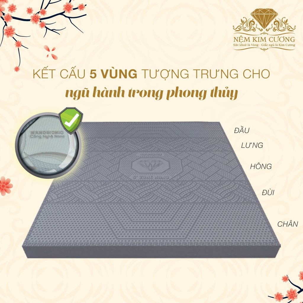 Nệm Cao Su Kim Cương 5Zone Than Hoạt Tính - Nâng đỡ 5 vùng cơ thể