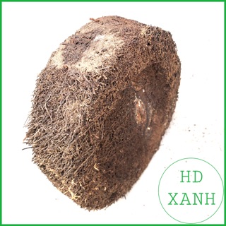 [SIEURE]  Rớn bảng tròn trồng lan 23cm cực chất.
