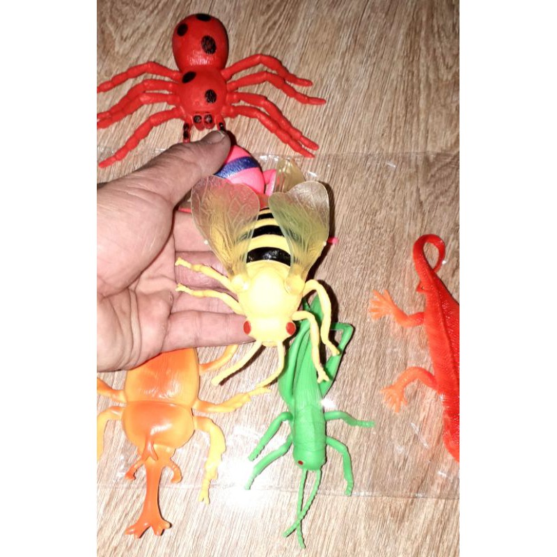 Sét 6 mô hình côn trùng bằng nhựa cứng rất đẹp