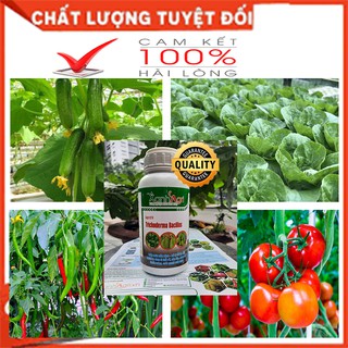 NẤM TRICHODERMA KHẮC TINH VÀNG LÁ THỐI RỄ