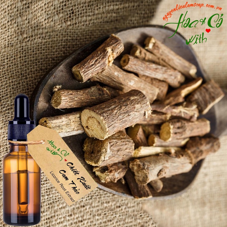 Chiết Xuất Cam Thảo ( Licorice Root Extract )