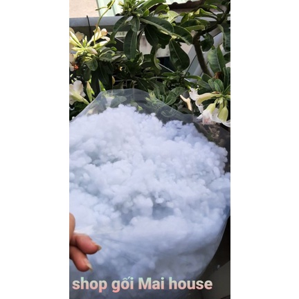 Bông gòn bi dồn gối