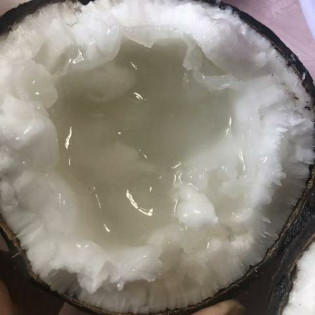 DỪA SÁP ĐẶC RUỘT LOẠI NHẤT ĐẶC SẢN CẦU KÈ