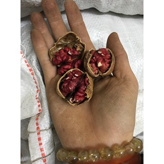 Quả Óc Chó Đỏ Mỹ 500g