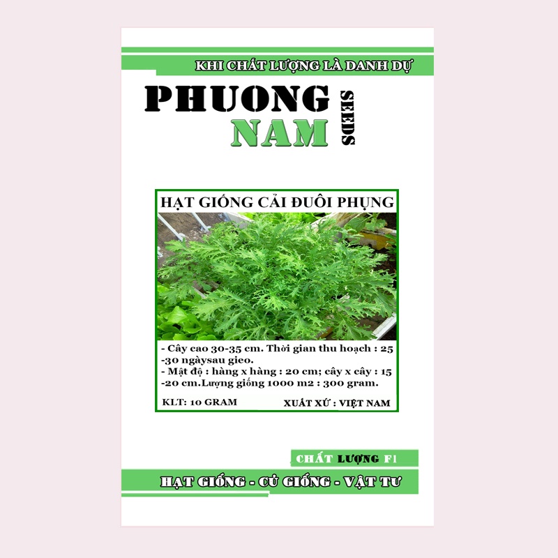 10GR - HẠT GIỐNG CẢI ĐUÔI PHỤNG