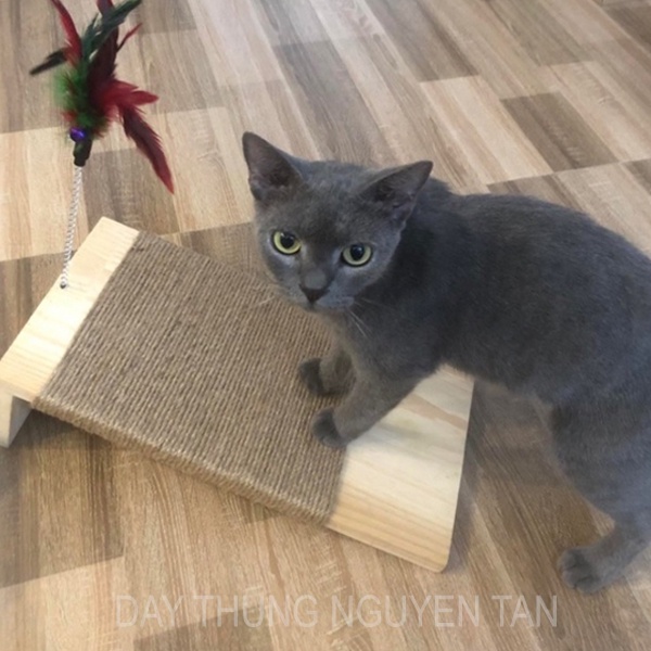 Bàn Cào Móng Bện Thừng SIÊU TO KHỦNG LỒ - Bàn dài 50CM SIÊU BỀN Cho Mèo - Giúp Mèo Xả Xì Trét