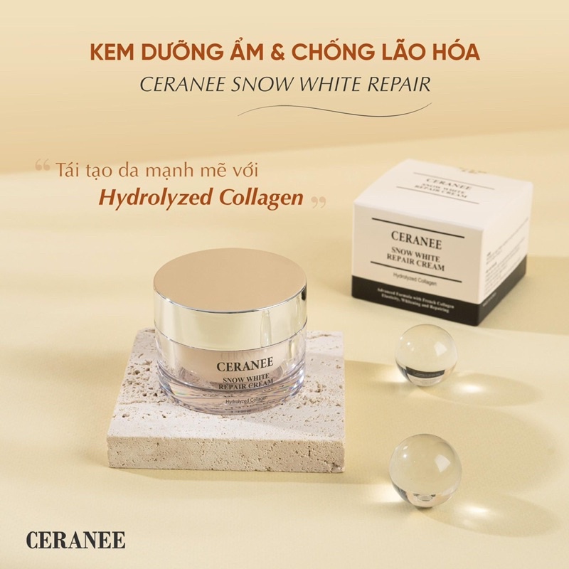 Kem dưỡng da Snow White Repair Cream dưỡng ẩm, nâng tone, phục hồi tế bào da từ sâu bên trong I Hàn Quốc chính hãng.