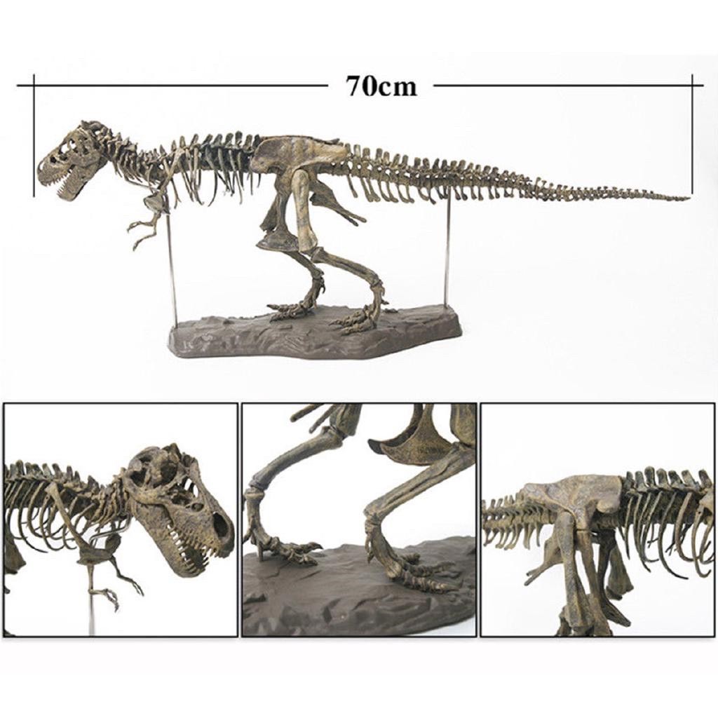 Mô hình Khủng Long Bạo Chúa T-Rex 5D