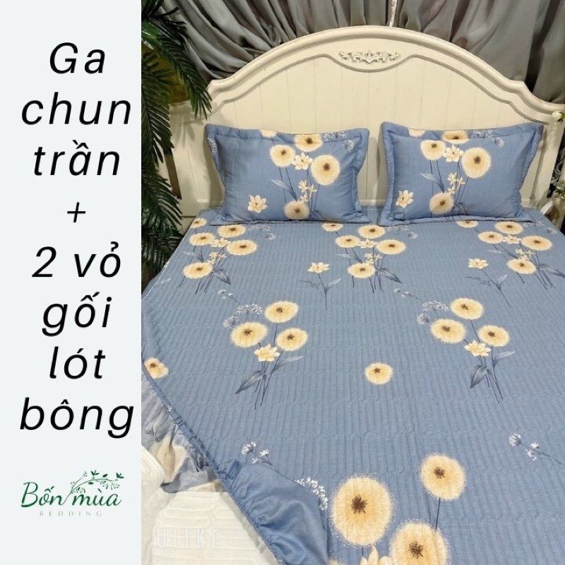 Ga trần bông, ga trải giường cotton bo chun BAMBILOO chất liệu cotton 100% đủ kt, kèm 2 vỏ gối 45x65cm