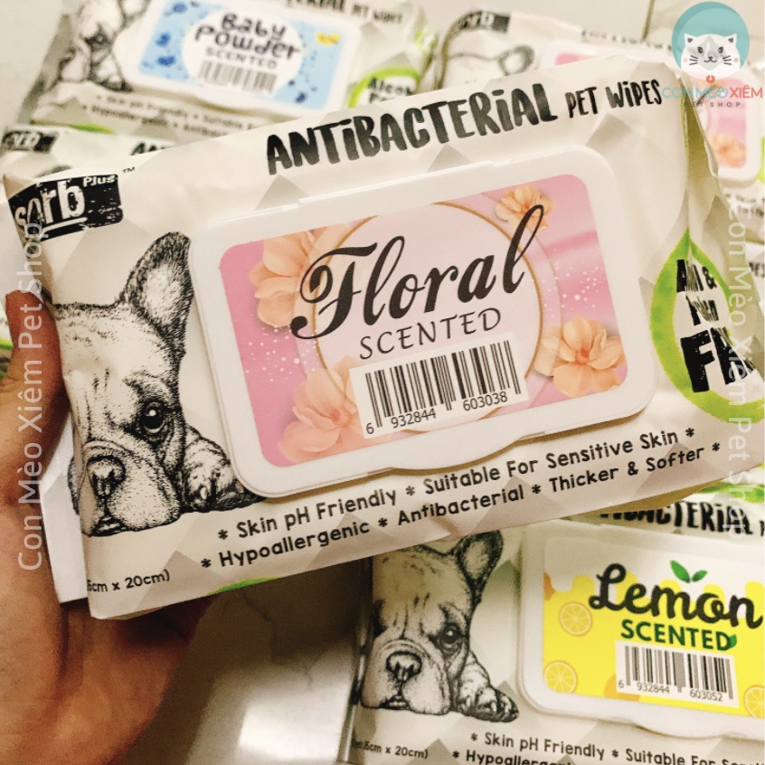 Khăn ướt giấy cho chó Kit cat kháng khuẩn antibac pet wipe, đồ dùng vệ sinh cho cún Con Mèo Xiêm