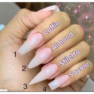 NAILBOX FEN ĐẦU MÓNG NGỰA VẰN