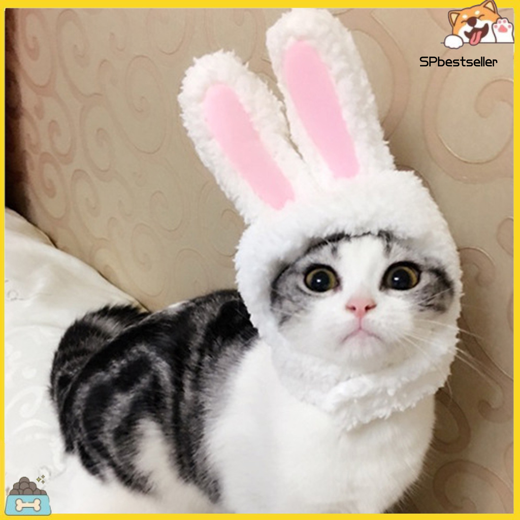 Mũ Trùm Đầu Co Giãn Cho Thú Cưng