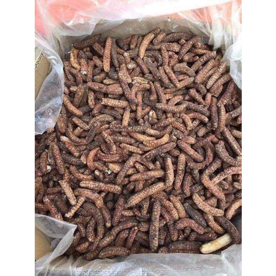 Chuối Hột Rừng Ngâm Rượu Túi 1 Kg Chuối Chín Phơi Khô Quả Nhỏ Hột Nhiều