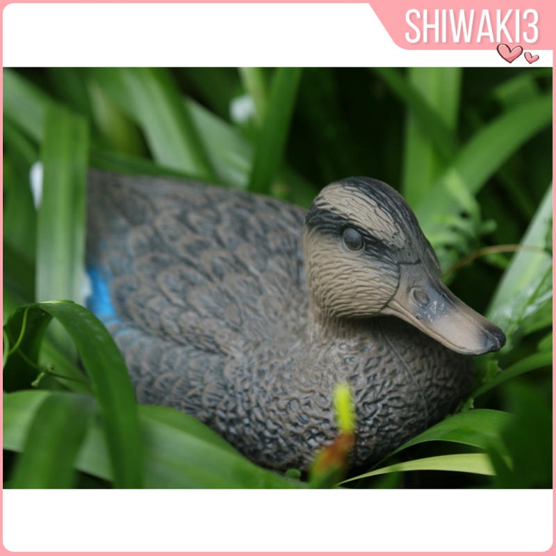 Bù Nhìn / Bù Nhìn / Chú Vịt Dùng Trang Trí Sân Vườn / Săn Bắn Ngoài Trời